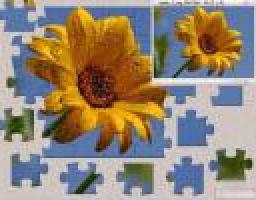 Состоялось очередное заседание Общественной палаты при Луганском городском совете