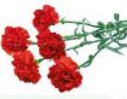 У Луганську відбулося покладання квітів з нагоди   Міжнародного дня визволення в'язнів фашистських таборів