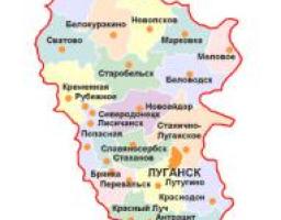 У рамках реалізації Програми розвитку громадянського суспільства на Луганщині проведено моніторинг діяльності ОСН