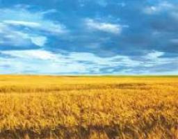 АНОНС: Пропонуємо громадськості взяти участь у засіданні «круглого столу» з нагоди Дня незалежності України