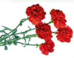 АНОНС: Відбудуться урочистості з нагоди 69-ї річниці визволення України від фашистських загарбників