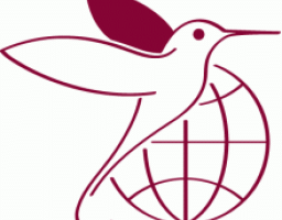 до Всесвітнього Дня Діабету