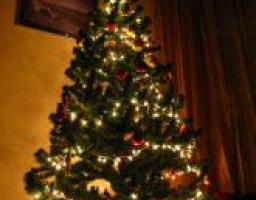 Відкриття міжнаціональної новорічної ялинки