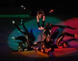 Академія мистецтв і Луганський цирк збере світових зірок циркового мистецтва на міжнародний фестиваль