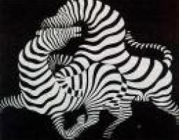 Відкриття виставки “Творча спадщина і міф Віктора Вазарелі (1908-1997)”