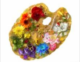 XVІ відкритий обласний фестиваль-конкурс дитячої творчості „Палітра - 2013”