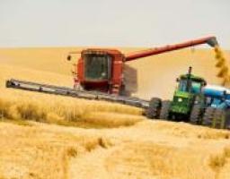 Аграрии Луганщины приступили к уборке урожая