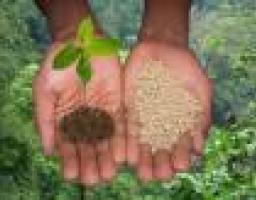 Коммерческое предложение для предпринимателей