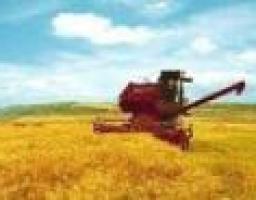 Розпочато підготовку до сівби озимих культур