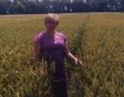 Всеукраїнський День поля 2012 «Техніка успішного виробництва»