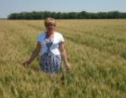 Луганщина готова до збирання ранніх зернових