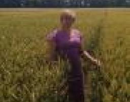 Аграрии Луганщины завершают уборку ранних зерновых и зернобобовых культур урожая - 2012.