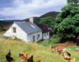 З розвитком виробництва покращується соціально-економічна ситуація на селі