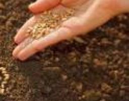 Весняно-польові роботи 2016