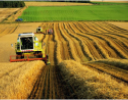 Привітання до Дня працівника сільського господарства від департаменту АПР