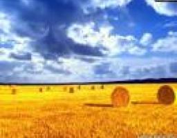 хід збиральної компанії 2015