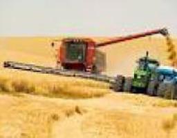 Уже 52% ранних зерновых и зернобобовых культур обмолочено на Луганщине