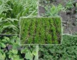 Проведення комплексу осінньо-польових робіт