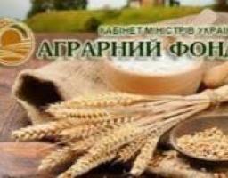 укладено форвардні угоди із закупівлі зерна