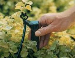 В Луганской области целесообразно применять системы полива на площади порядка 60 тыс. га.