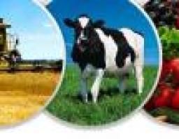 Перспективні плани роботи агропромислового комплексу в 2016 році