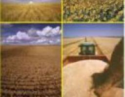 На совещании руководством облгосадминистрации были рассмотрены пути повышения эффективности использования земельного ресурса в регионе