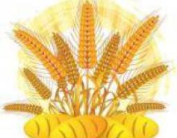 Підведені підсумки роботи агропромислового комплексу   Луганщини за  2013 рік