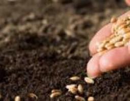 Особенности проведения весенне-полевых работ в  2014 году