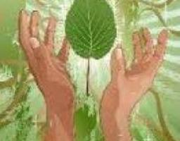 Всеукраїнська акція «За чисте довкілля»: приєднуйтесь