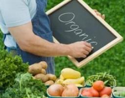 Розвиток органічного виробництва