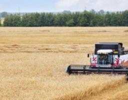 Підведені попередні підсумки в галузі рослинництва у 2018 році