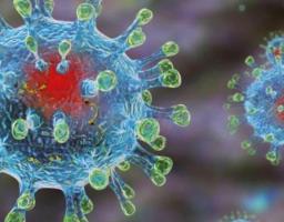 Актуальний коментар: на Луганщині не виявлено випадків захворювання на коронавірус