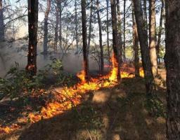 Правила поведінки у пожежонебезпечний період, яких повинні дотримуватись громадяни для запобігання виникненню пожеж