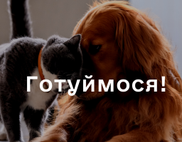 #ЗимаБлизько: Сподіваємось на краще, готуємось до будь-якого розвитку подій