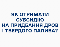Українці можуть отримати субсидію на придбання дров і твердого палива