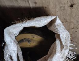 На Луганщині виявлено схрон з бойовими протитанковими мінами 