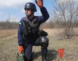 Піротехніки Луганщини вилучили 32 артилерійських снаряди