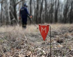 За минулу добу піротехніками області вилучено 52 вибухонебезпечних предмети