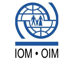 МОМ запрошує молодь з Донецької та Луганської областей до участі в літній школі «Разом до успіху»