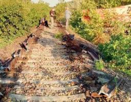 «Фантомівці» розкрили розкрадання держмайна