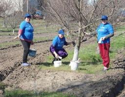 Жінки заради добробуту громади - спільними зусиллями створюємо зміни!