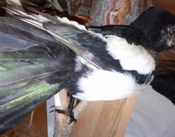 «Ви відпочивали, а ми працюємо!!!»