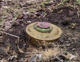 Володимир Зеленський подякував піротехніку з Луганщини, який вже майже півроку розміновує Херсонщину