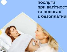Пологи у державних закладах – безкоштовні