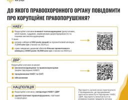Хто розслідує корупційні правопорушення?