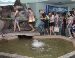 Діти з прифронтового Кримського два тижні відпочиватимуть у Трускавці