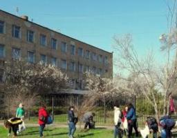 День благоустрою – на вулицях та в скверах Луганщини