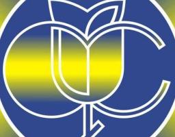 На час війни призначити лікарняні можна на підставі листка на роздрукованому бланку: як подати заяву-розрахунок