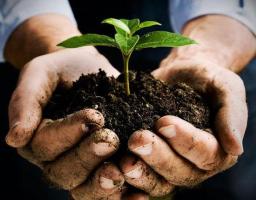 2,7 мільйонів гривень отримають вісім фермерських господарств Луганщини