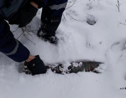 Оперативна інформація щодо розмінування Луганської області за минулу добу